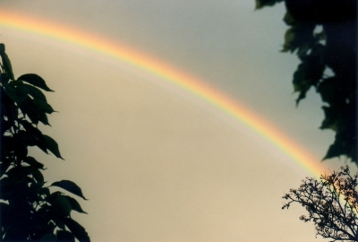 Regenbogen