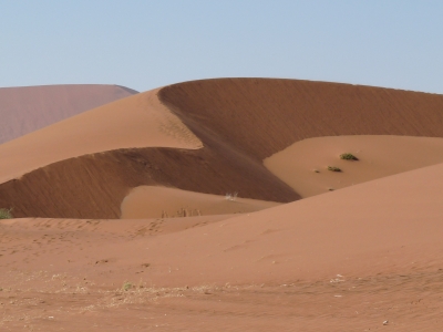 Sanddnen in der Wste